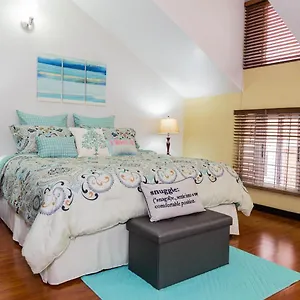 Apartment Sweet Kensville @ New, Kingston